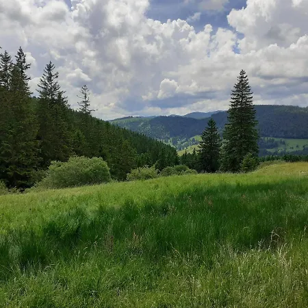Sonnenstrahl Todtmoos