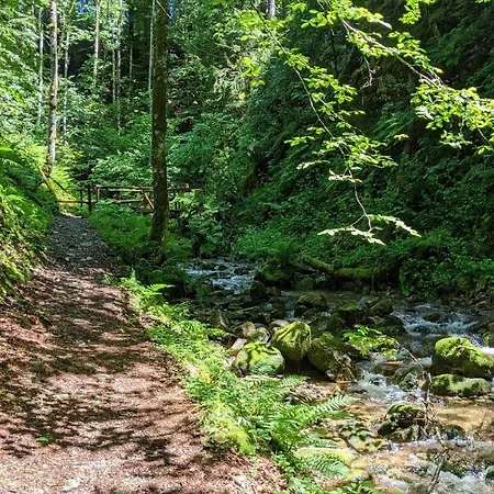 Sonnenstrahl * Todtmoos